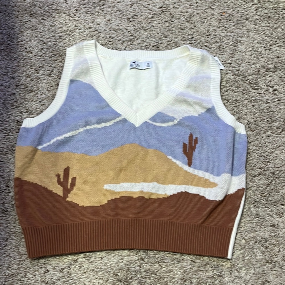 Hollister: Size M: New With Tags